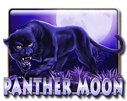 10-panther-moon