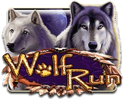 5-wolf-run