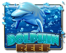 7-dolphin-reef